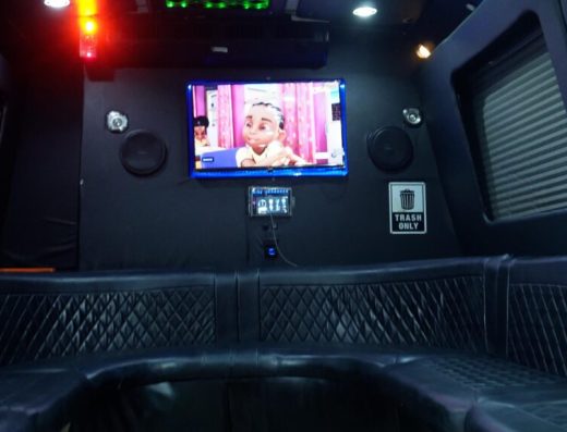 20-Passenger Party Bus